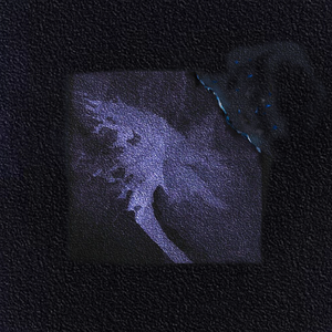 68日本XXXXXⅩXXX59免费的
